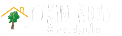 Etkin Atölye Anaokulu